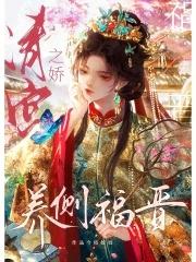 清宫之宠妃