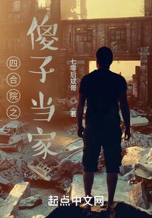四合院之傻子当家七零后斌哥