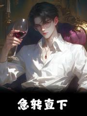 急转直下主角苏宇