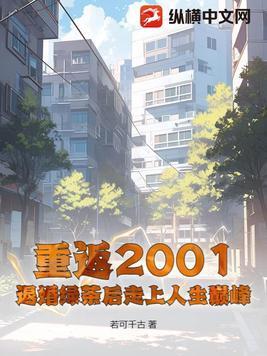 重返2001好看吗