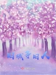 旧城里凝望旧人旧事什么意思