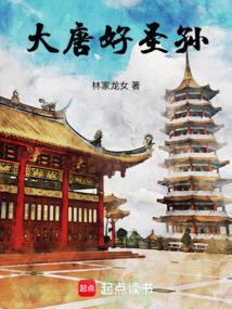 大唐好圣孙几个老婆