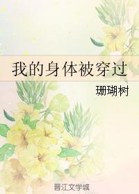 我的身体被穿过by珊瑚树