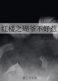 红楼之贾赦长子天日月