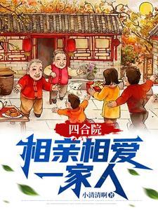 四合院相亲丁秋楠