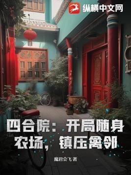四合院开局就送空间