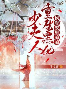 少夫人惊艳了