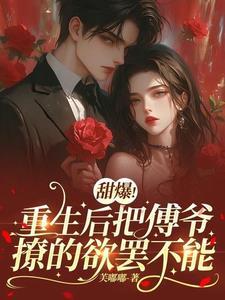 重生傅少撩不停
