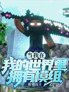 在我的世界中如何使用模组