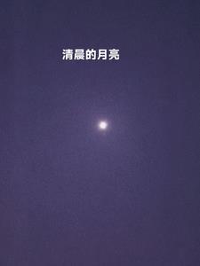 13691058106新书