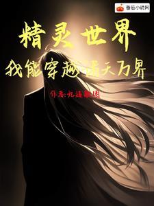 我的精灵不