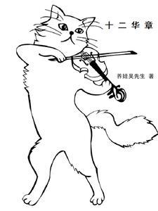 十二华载打一数字