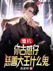 慈善大王什么鬼电子书