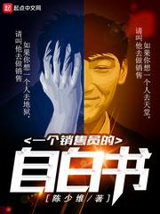一个销售员的自白书陈飞