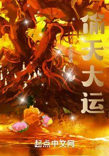 偷天大盗是什么意思