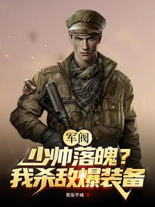 军阀男主少帅