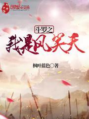 重生斗罗之我是风笑天