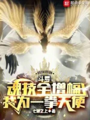 我为一拳天使七彩之