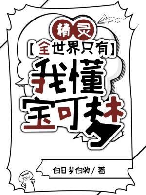 精灵宝可梦世界第一ip