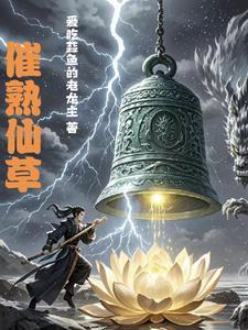 仙草的熬制方法