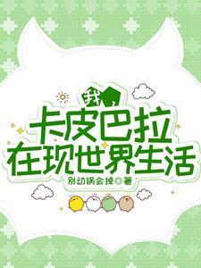 皮卡拉是哪个动画片