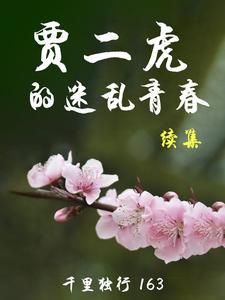 贾二虎全本