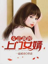 镇国王婿