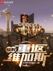 辐射维加斯流派