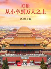 红楼从小卒到万人之上全本网