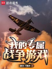 我的专属战争游戏百度百科