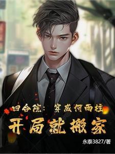 穿越四合院打何雨水