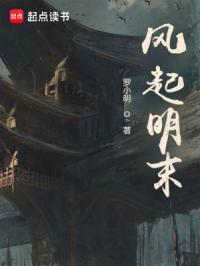 风起宋末顶点