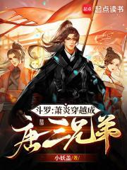 萧炎穿越成了唐三他哥