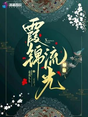 霞光法师锦