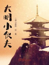 小伙穿越大明成皇子