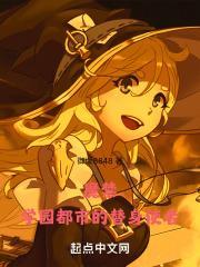 魔禁学园都市的替身使者 御坂8848