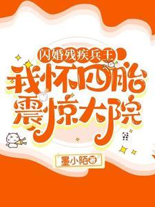 随军军嫂文