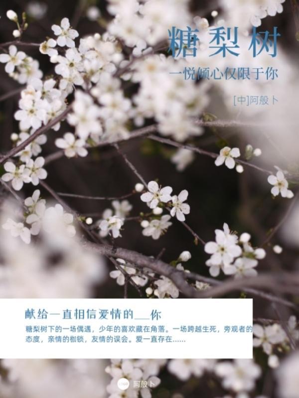 糖梨树可以嫁接苹果吗