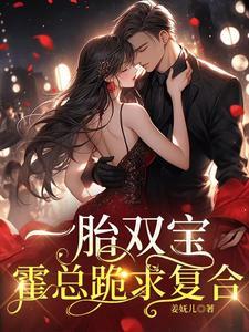 一胎双宝总裁的