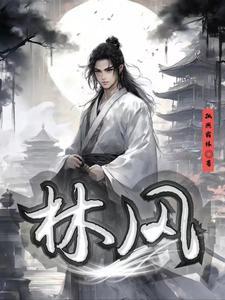 叫林风的主角