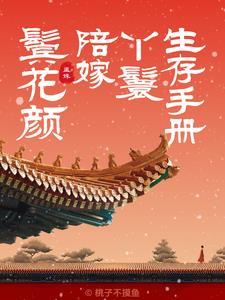 陪嫁丫鬟作用