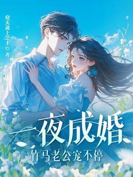 一夜成妻作者恋恋
