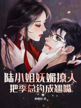 陆小姐又