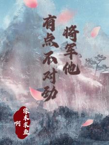 将军他有点不对劲大结局