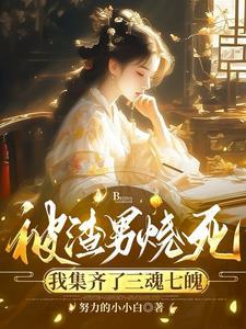 我集齐了三魂七魄有声