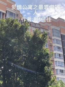 爱情公寓中谁最好看