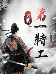 大明第一卧底