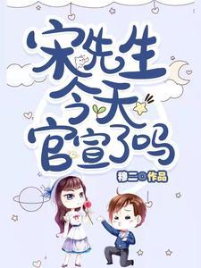 宋先生的视频