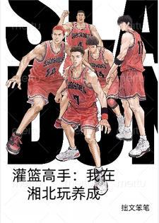 灌篮高手之湘北的崛起