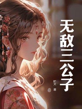 无敌公子轿子多少钱